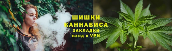 ГАЛЛЮЦИНОГЕННЫЕ ГРИБЫ Арсеньев